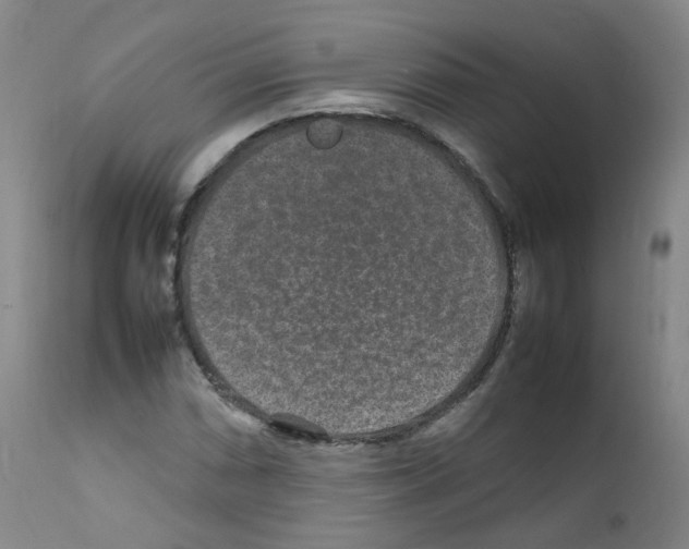 X0000111841066200909031658