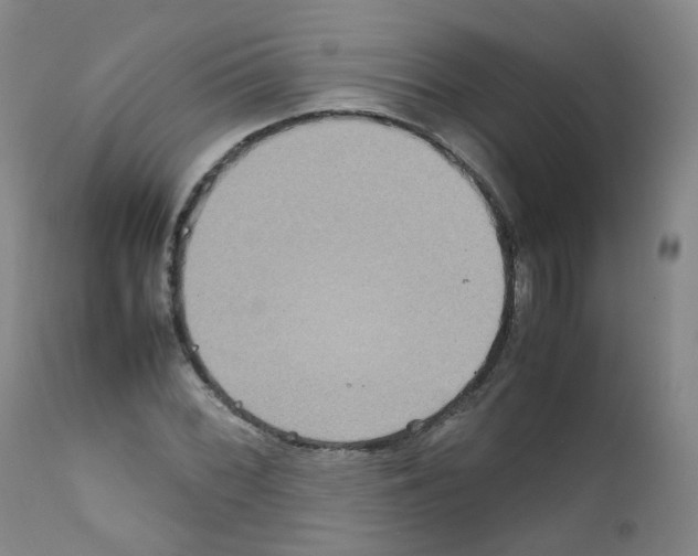 X0000111841068200909031658