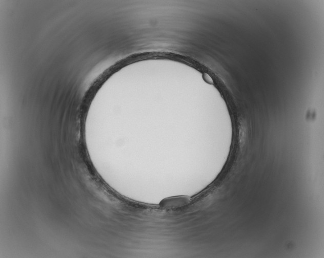 X0000111841069200909031658