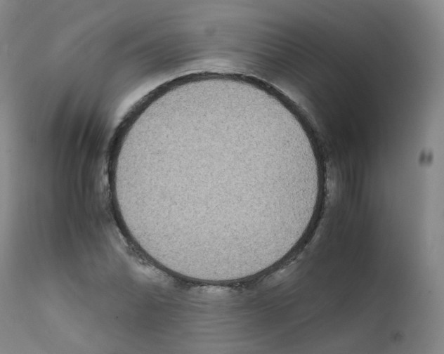 X0000111841070200909031658