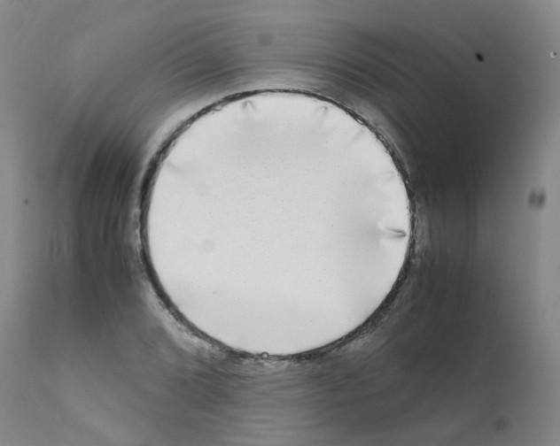 X0000111841072200909031658