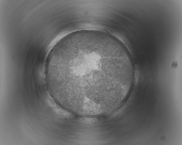 X0000111841074200909031658