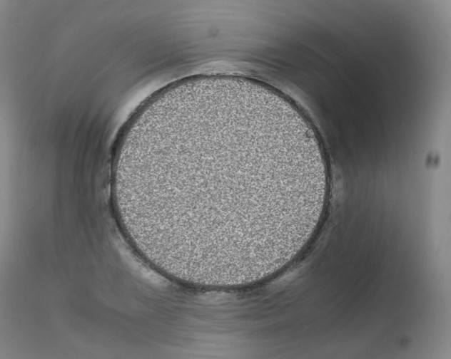 X0000111841075200909031658