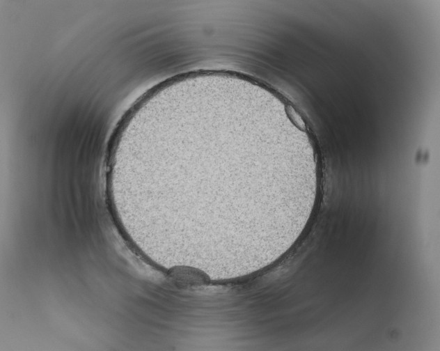 X0000111841076200909031658