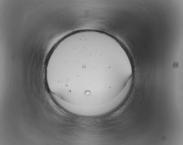 X0000111841077200909031658