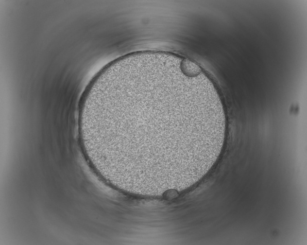 X0000111841079200909031658