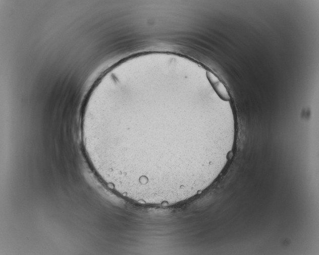 X0000111841080200909031658