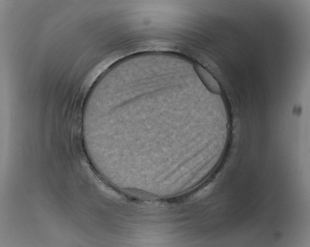 X0000111841081200909031658