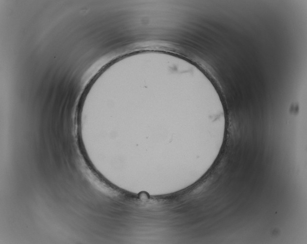 X0000111841082200909031658