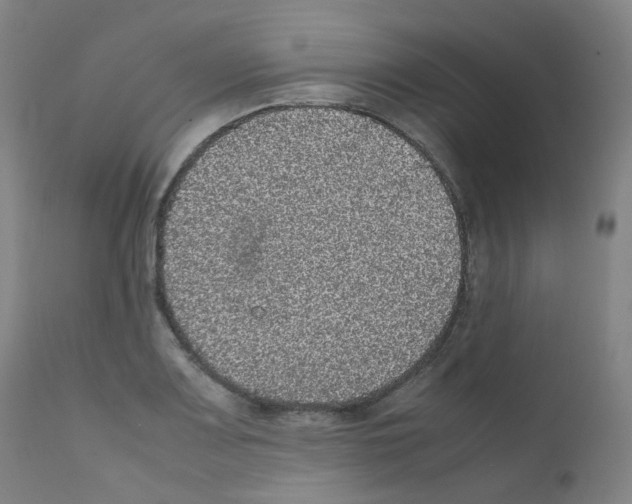 X0000111841083200909031658