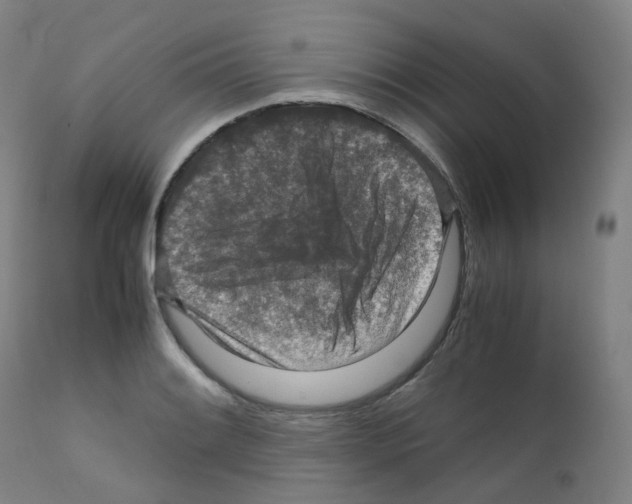 X0000111841084200909031658