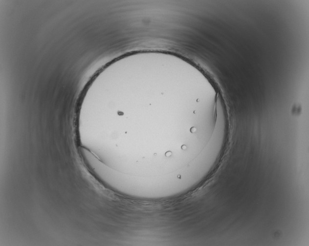 X0000111841085200909031657