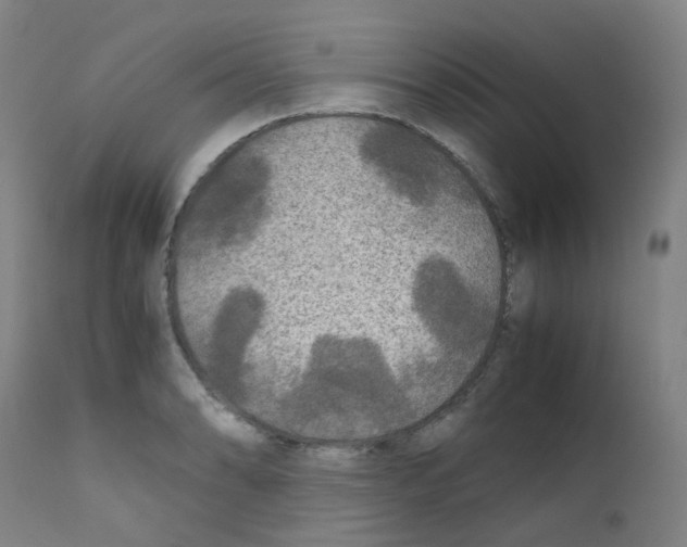 X0000111841086200909031657