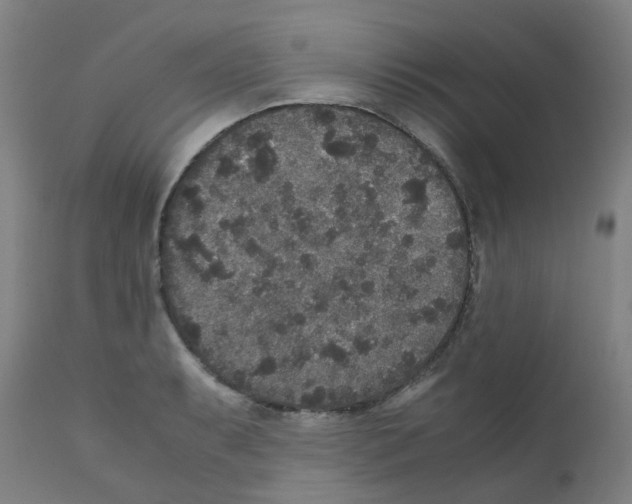 X0000111841087200909031657