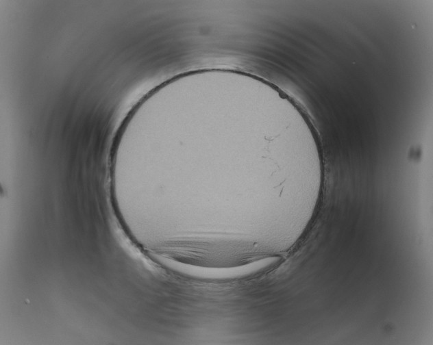 X0000111841088200909031657