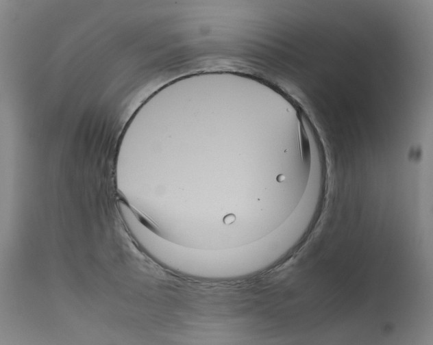 X0000111841089200909031657