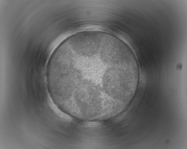 X0000111841090200909031657