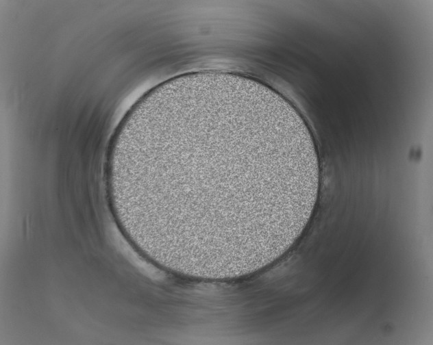 X0000111841091200909031657