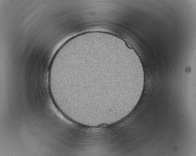 X0000111841092200909031657