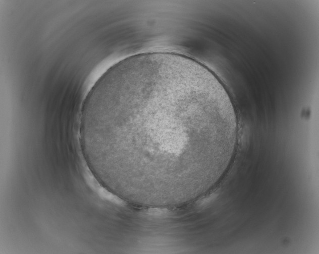 X0000111841094200909031657