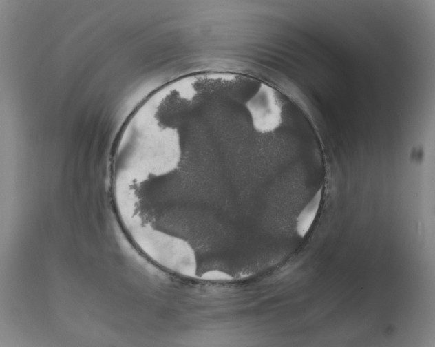 X0000111841095200909031657