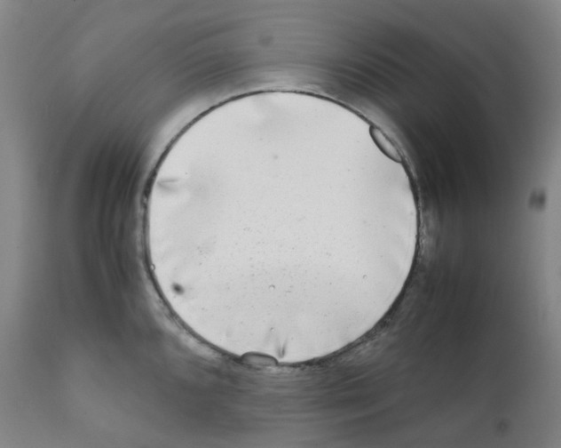 X0000111841096200909031657