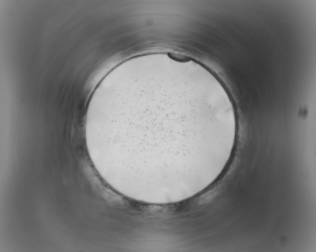 X0000111841097200909031657