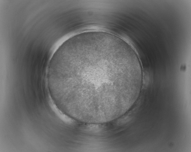 X0000111841098200909031657