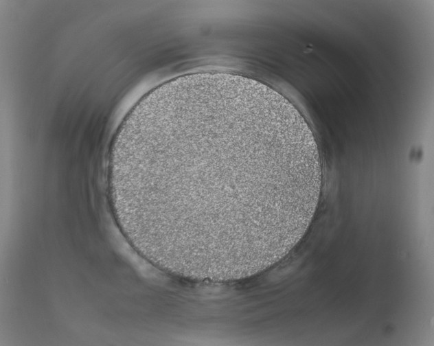 X0000111841099200909031657