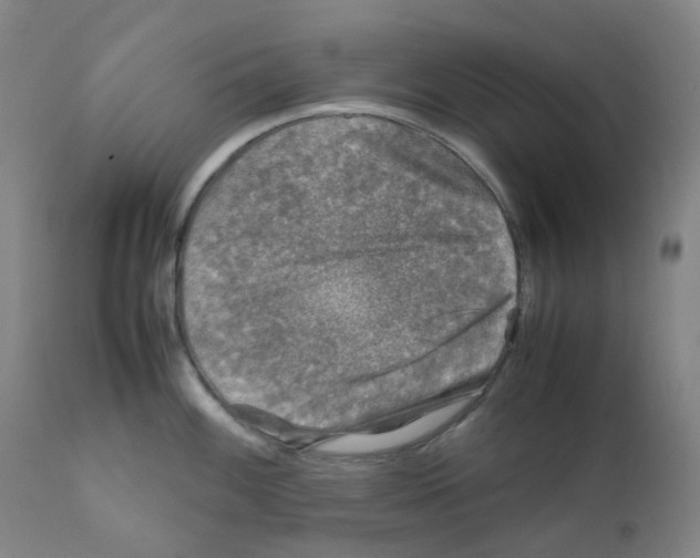 X0000111841100200909031657