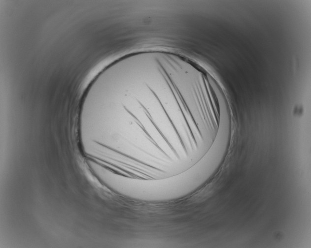 X0000111841101200909031657