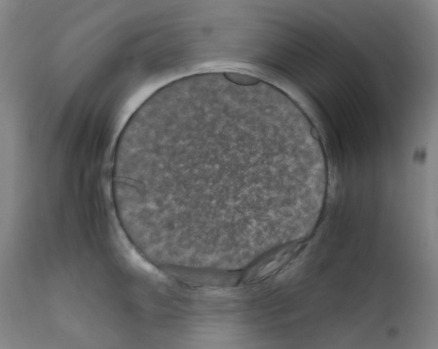 X0000111841102200909031657