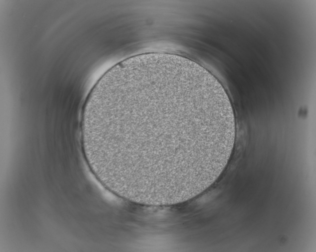 X0000111841103200909031657