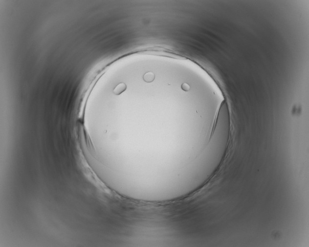 X0000111841104200909031657