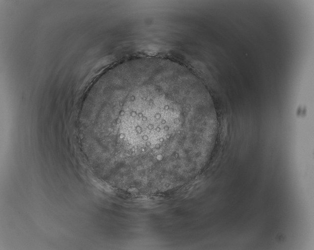 X0000111841105200909031656