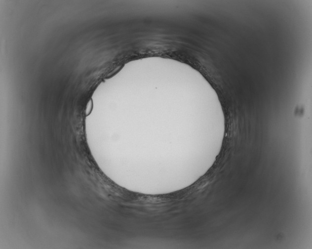 X0000111841109200909031656