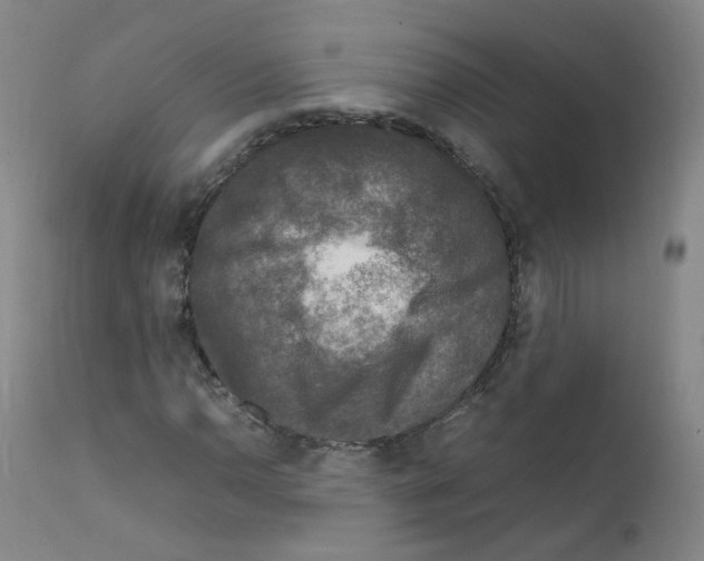 X0000111841110200909031656