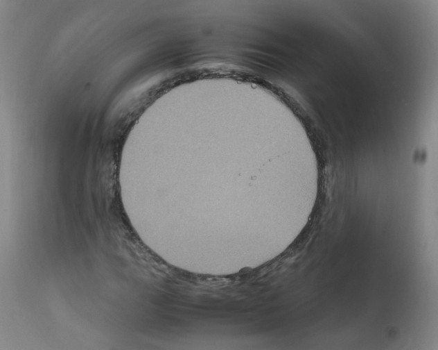 X0000111841111200909031656