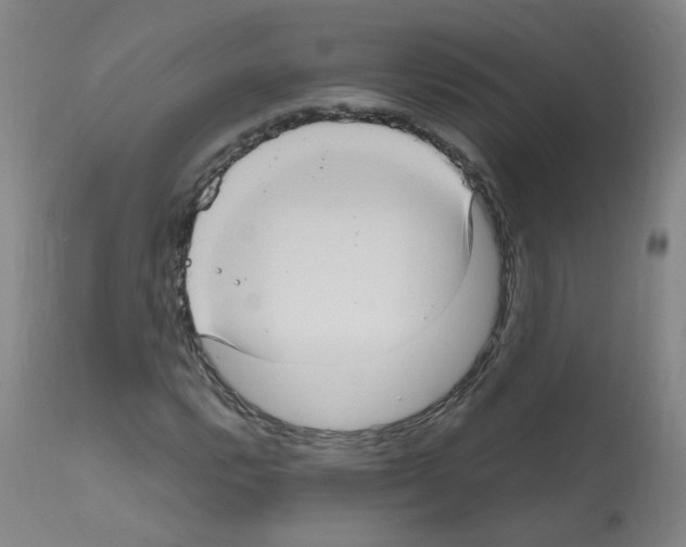 X0000111841112200909031656