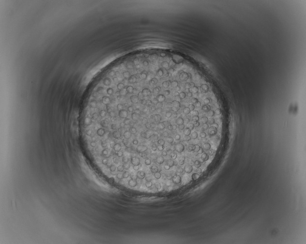 X0000111841113200909031657