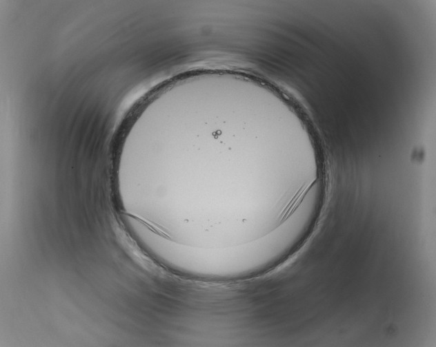 X0000111841114200909031657