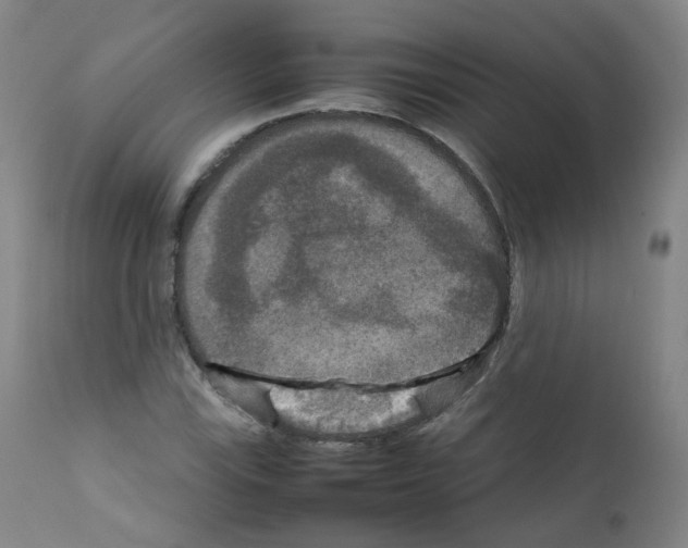 X0000111841115200909031657