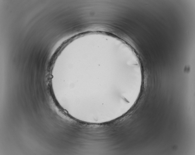 X0000111841116200909031657