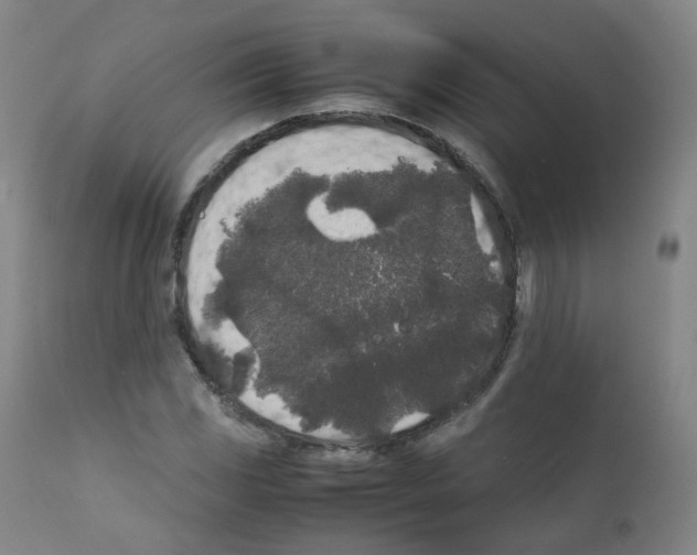 X0000111841117200909031657