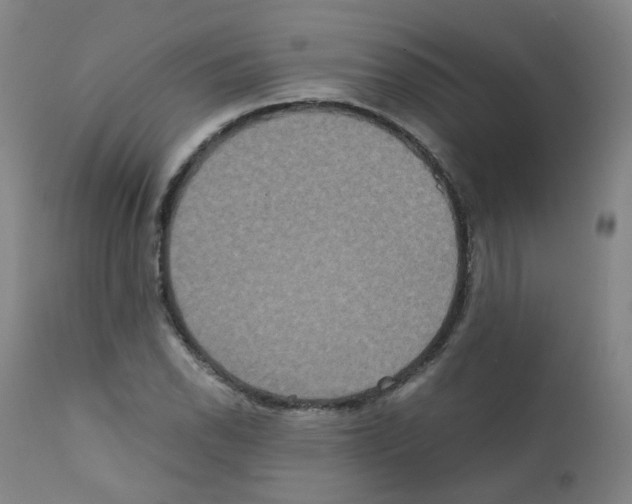 X0000111841118200909031657