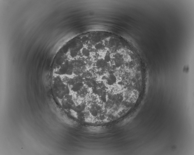 X0000111841121200909031657