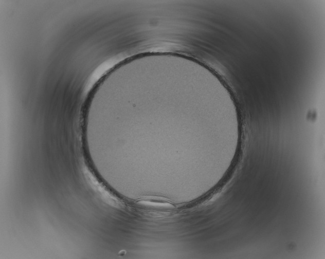 X0000111841122200909031657