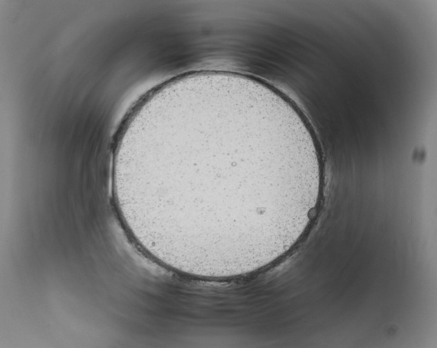 X0000111841123200909031657