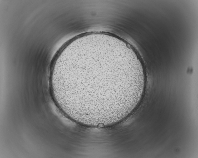 X0000111841124200909031657