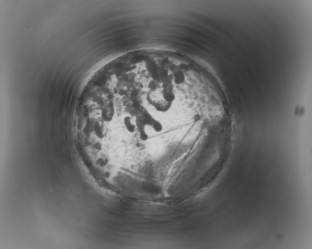 X0000111841125200909031657